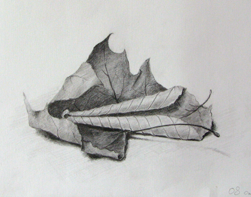 Сухие листья (карандаш)