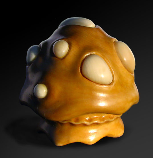 Magic mushroom 