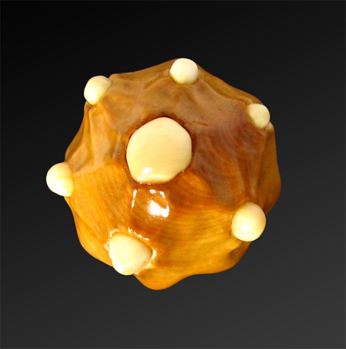 Magic mushroom 2
